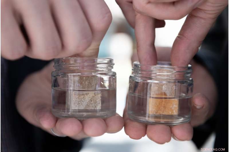 Revolutionary Lumber Preservation Method Outperforms Traditional Pressure Treatment