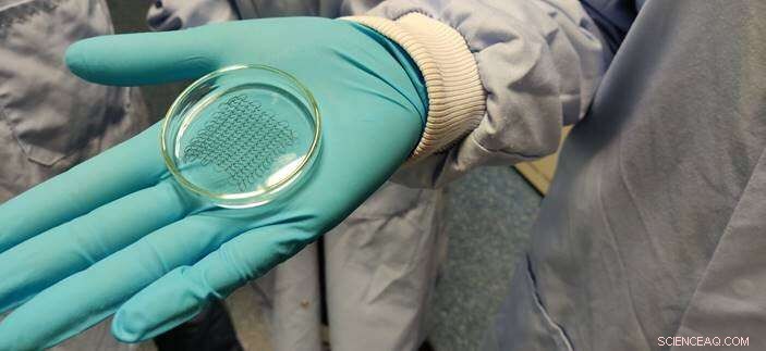 Trinity Bioengineers Advance Heart‑Repair Patch Prototype