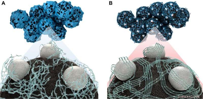 Extending Polymer Electrolyte Fuel Cell Longevity with Nanodispersed Ionomer Technology