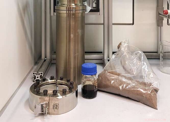 Innovative Chemical Process Converts Birch Wood and Lignin into Valuable Chemicals