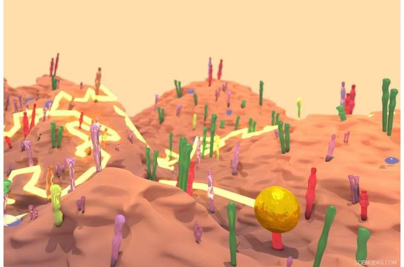 Advanced iSCAT Method Enables Precise Tracking of Single Proteins in Live Cells