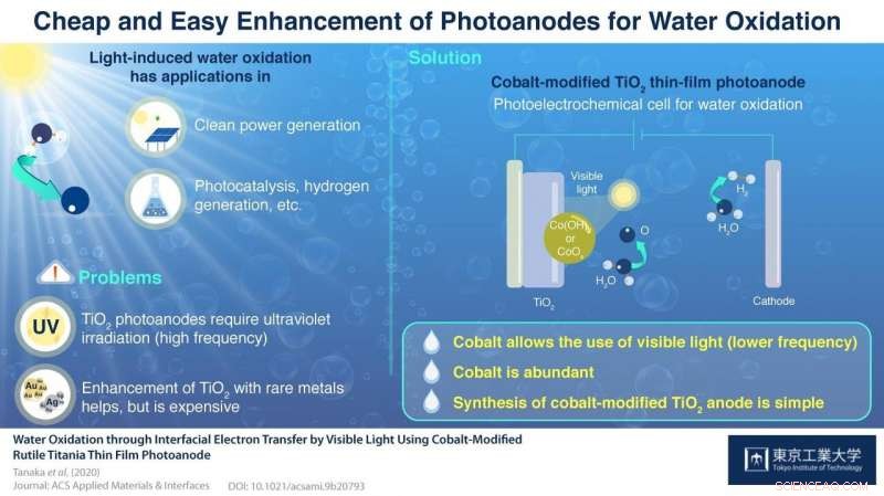 Cobalt-Enhanced Photoelectrochemical Systems: Harnessing Visible Light for Efficient Hydrogen Production