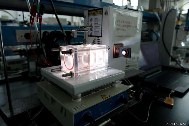 Revolutionary Biocatalytic System Converts Waste Biomass into High-Value Chemicals