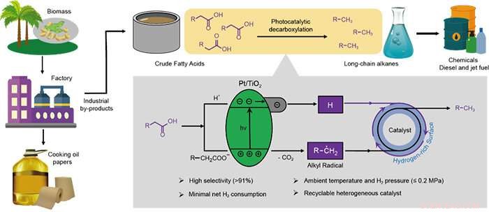Scientists Convert Fatty Acids to Alkanes Using Light-Driven Photocatalysis