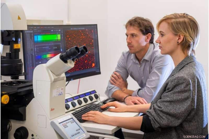 Oil‑Hydrogel Mixture Provides Long‑Term, Controlled Medication Delivery