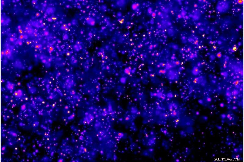 Oil‑Hydrogel Mixture Provides Long‑Term, Controlled Medication Delivery