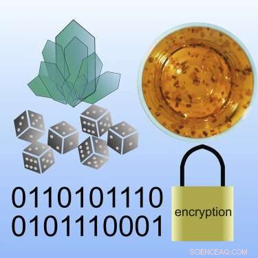 Harnessing Crystal Growth for High-Quality Random Number Generation