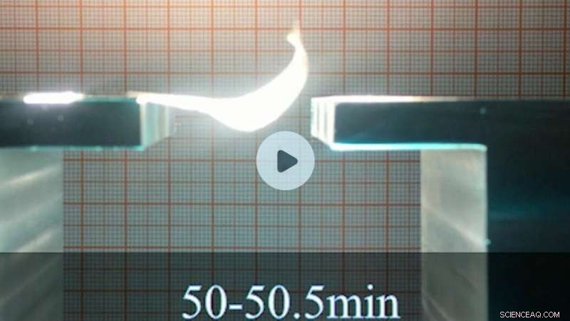 Solar-Powered Flapping Wings: Revolutionizing Energy Harvesting