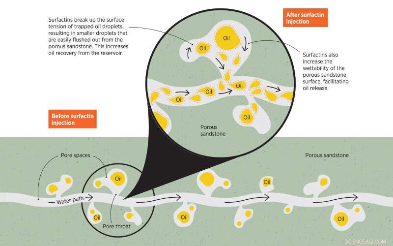 Harnessing Fluid Surface Tension for Industrial Innovation