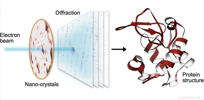 Unlocking Protein Structures: High‑Resolution Insights from Serial Electron Diffraction