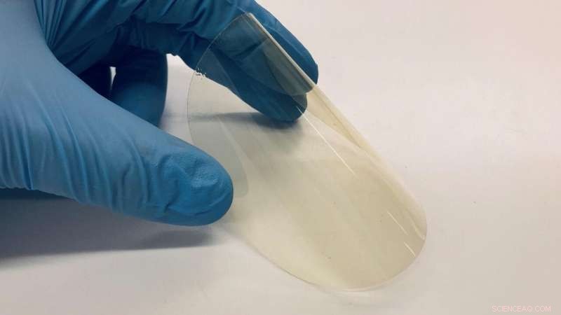 New Bioplastic Offers UV Protection: A Sustainable Breakthrough