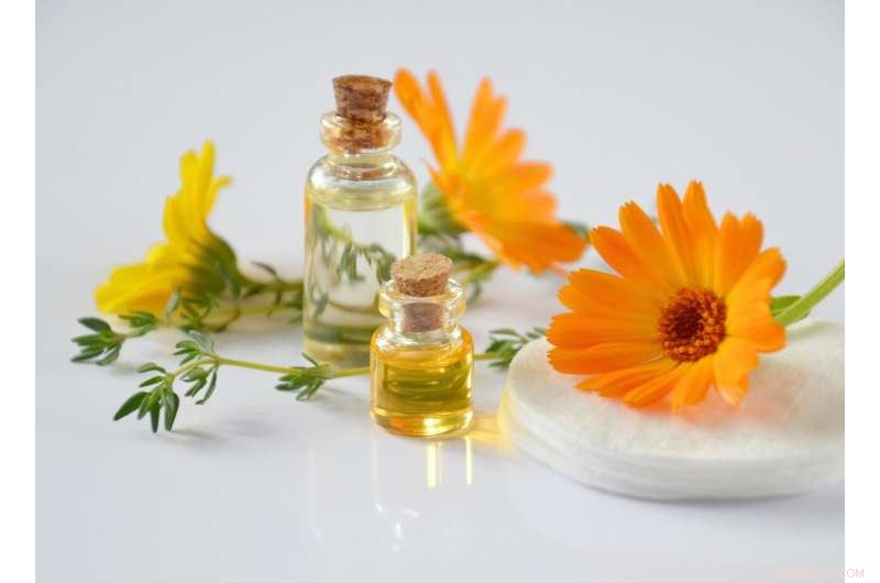 Essential Oil Components Show Promise as Drug Candidates