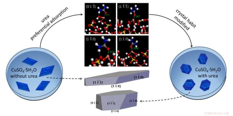 How Urea Additives Influence Crystal Physicochemical Properties