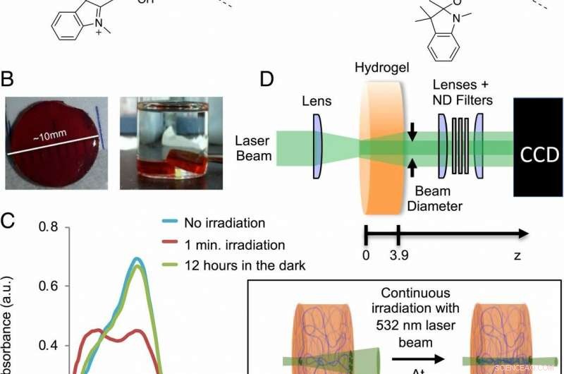 Exploring Biomimetic Materials: Innovations in Light-Responsive Hydrogels