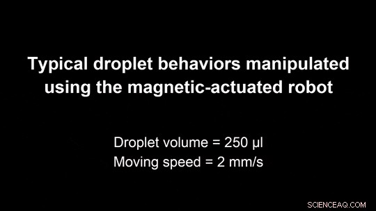 Programmable Droplet Manipulation Using a Magnetic‑Actuated Robot