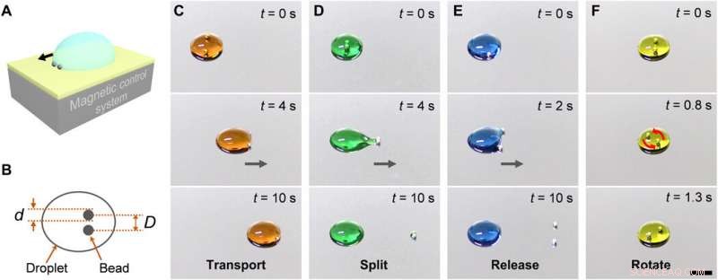 Programmable Droplet Manipulation Using a Magnetic‑Actuated Robot