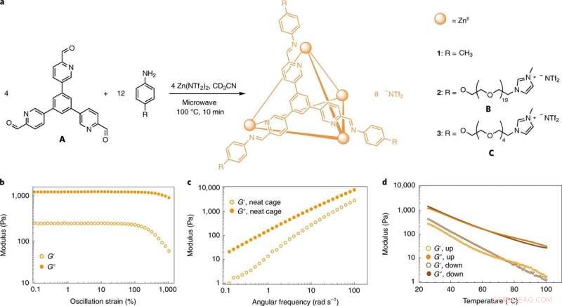 Innovative Porous Ionic Liquid Encapsulates Large Molecules