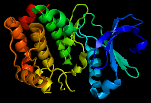 Uncovering the Ancient Origins of Allosteric Activation in the Oldest Kinases