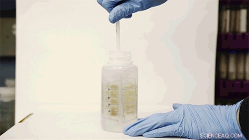 New Mail‑In Device Simplifies Heavy Metal Water Testing