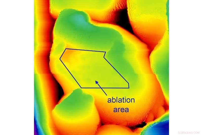 Revolutionary Imaging Technique Enables Gentle Observation of Starch in Biofuel Materials