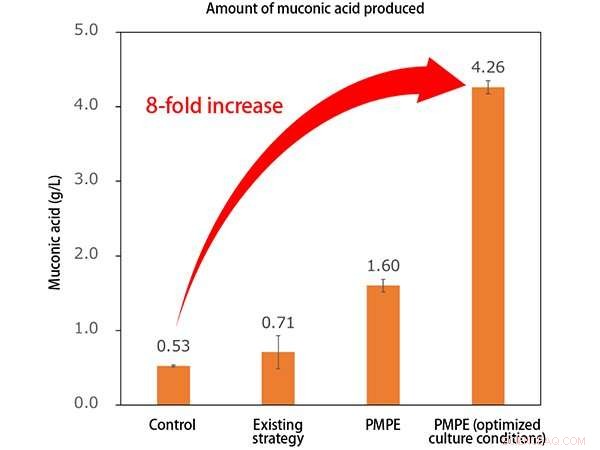 Revolutionary Metabolic Engineering Enhances Polymer Raw Material Production