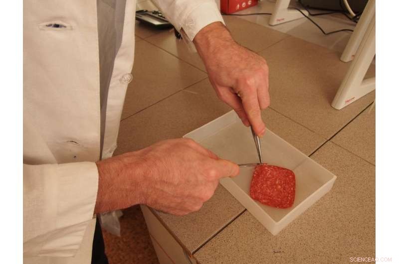 Scientists Reveal Vitamin B4 Technique to Detect Phenols in Smoked Foods