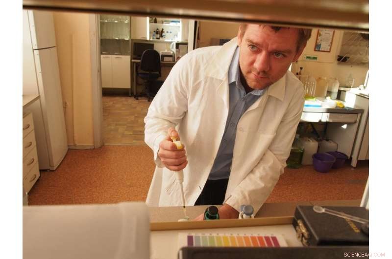 Scientists Reveal Vitamin B4 Technique to Detect Phenols in Smoked Foods