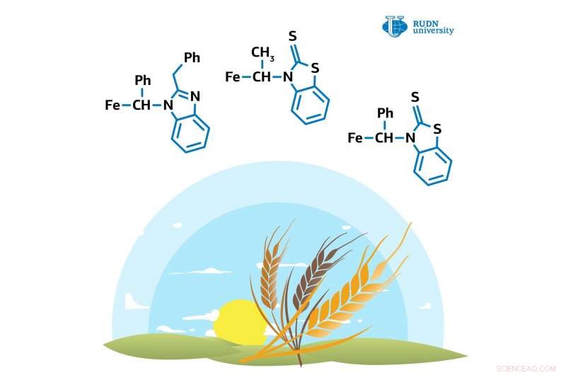 Chemist Develops Ferrocene Derivatives That Boost Plant Growth by 67% and Offer Herbicide Protection