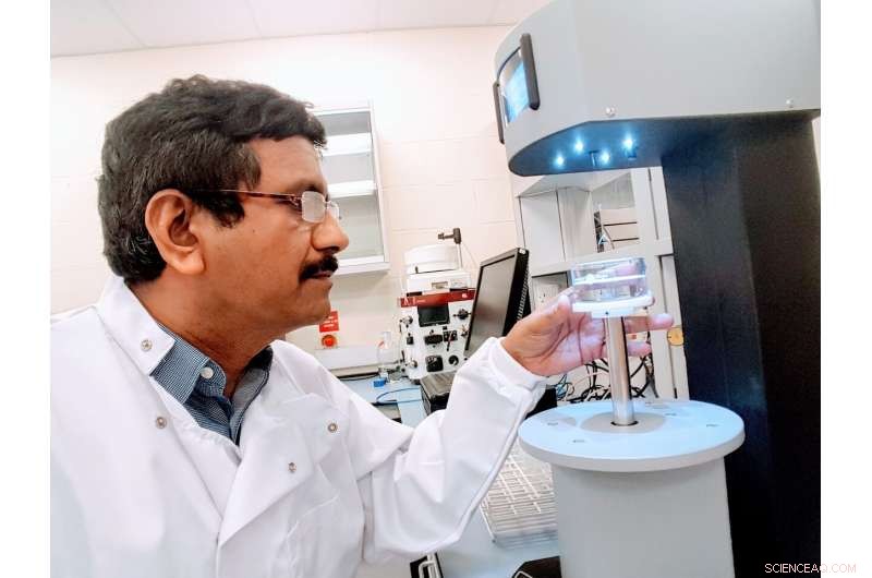 New Enzyme from Agricultural Waste Promises Eco‑Friendly Laundry Detergent Boost