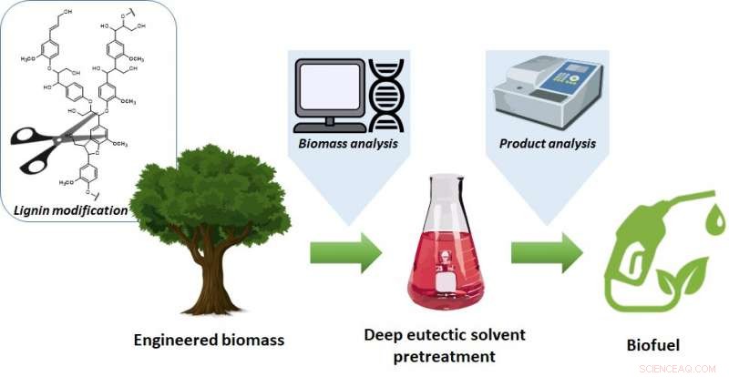 Korea’s KIST Partners with North American Scientists to Pioneer a Biofuel Production Process