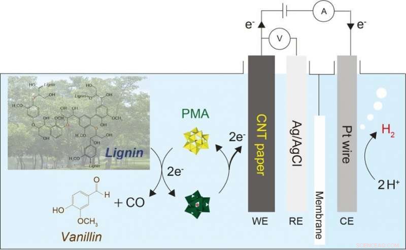 Revolutionary Biomass-to-Hydrogen Technology: A New Biofuel System