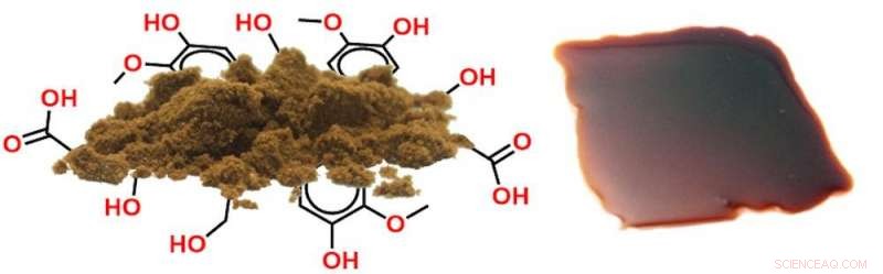Precision Lignin Plastics: X‑ray Analysis Unlocks Sustainable Wood‑Derived Materials