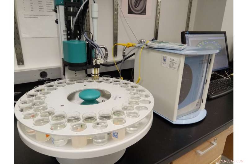 Revolutionary Tech Cuts Salt Without Sacrificing Flavor