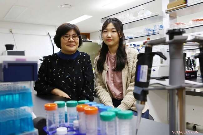 Copper Coordination Chemistry and Its Role in Alzheimer’s Disease