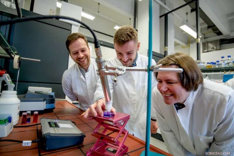 Revolutionizing Biocatalysis: A Novel Approach to Activate Enzymes