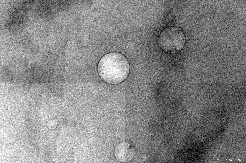 Smart Water Technology Enhances Oil Recovery Efficiency