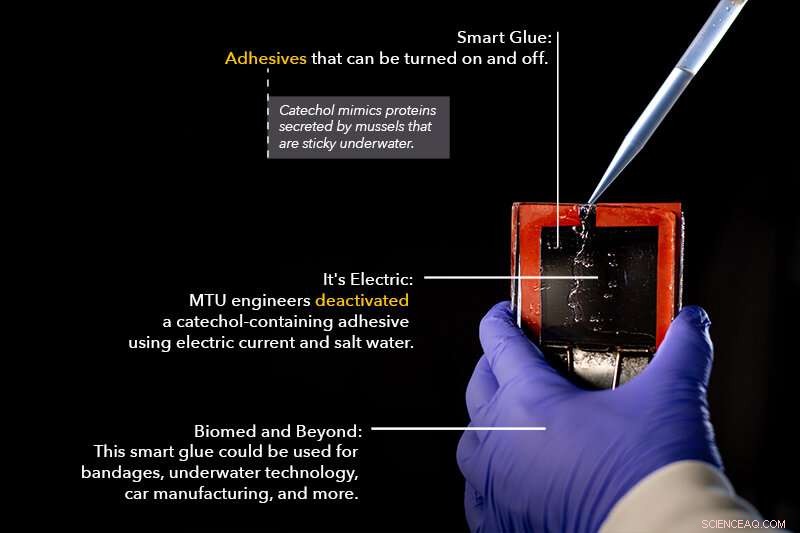 Engineers Develop Water‑Resistant Smart Glue That Can Stick and Release Underwater