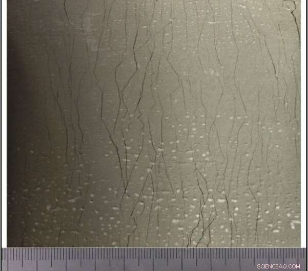 Revolutionary Bendable Cement‑Free Concrete Promises Safer, Durable, and Eco‑Friendly Infrastructure