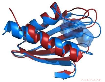 Advanced X-ray Imaging Sheds Light on Lethal Pathogen