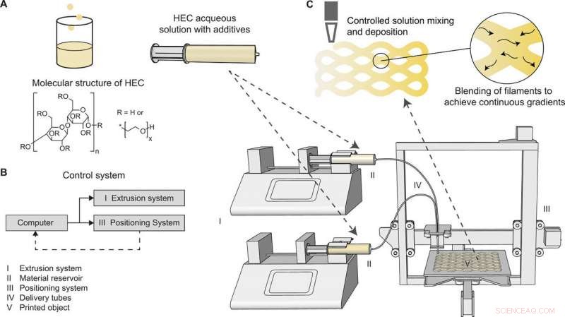 Pioneering 3D Printing of Cellulose Materials with Continuous Multidirectional Stiffness Gradients