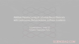 Pioneering 3D Printing of Cellulose Materials with Continuous Multidirectional Stiffness Gradients