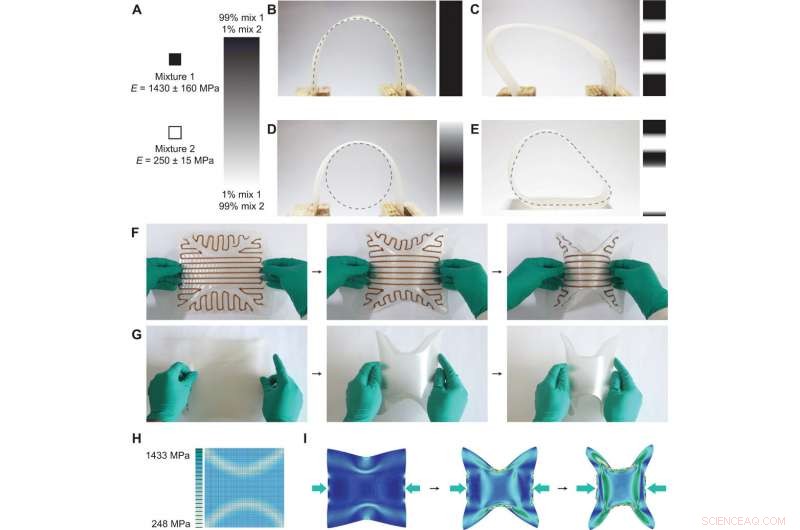 Pioneering 3D Printing of Cellulose Materials with Continuous Multidirectional Stiffness Gradients