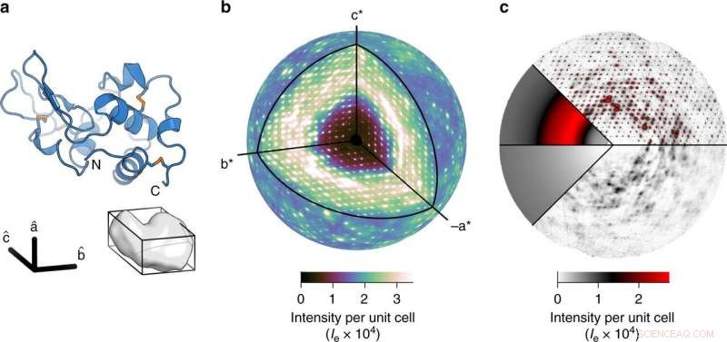 Scientists Unveil Detailed Map of Protein Dynamics
