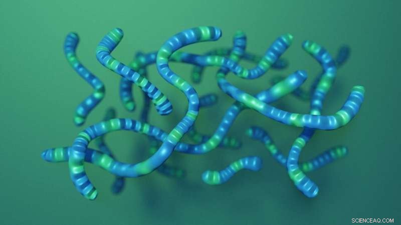 Roll‑Up TVs & Bendable Smartphones: Shaping the Future of Flexible Electronics