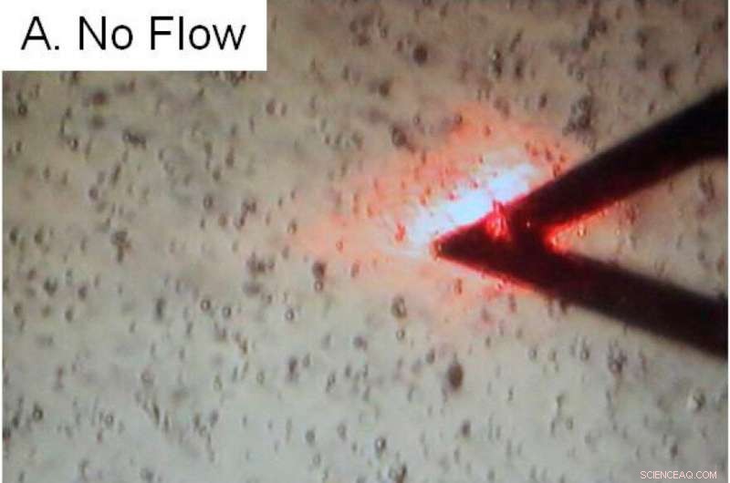 Impact of Flow on Electrostatic Forces and Surfactant Adsorption in Liquid Systems