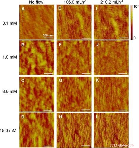 Impact of Flow on Electrostatic Forces and Surfactant Adsorption in Liquid Systems
