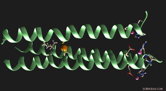 Scientists Engineer Breakthrough Artificial Enzyme to Advance Biocatalysis
