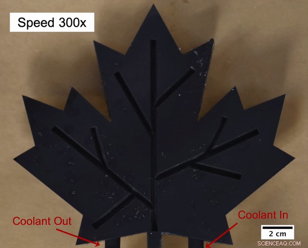 Leaf-Inspired Surface Design Drastically Reduces Frost Build‑Up