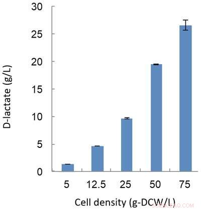 Cyanobacteria-Driven Method Produces D‑Lactate at High Rates, Transforming Bioplastic Production