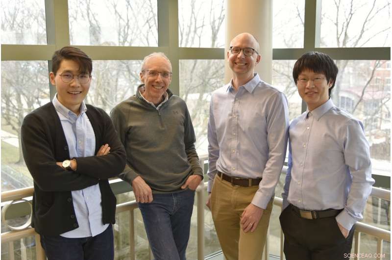 How Monomer Sequence Controls Conductance in Molecular Wires